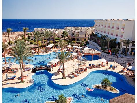 Hilton Sharks Bay, Sharm El Sheikh. Dec 2008 and Dec 2009 شرم الشيخ, Sharm El Sheikh, Sharks, Egypt, Dolores Park, Pool, Travel