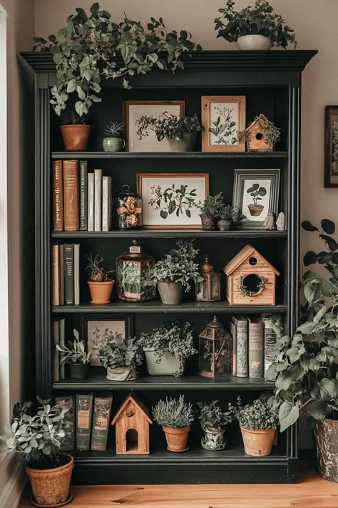 11 Creative Bookshelf Ideas to Spruce Up Your Home Books Case Aesthetic, Living Room Decor For Shelves, Dark Academia With Plants, Diy Gothic Bookcase, Home Bookshelf Ideas, Stylized Bookshelves, Arranging Bookshelves Ideas, Library Table Decor Ideas, Book Shelf Decoration Idea