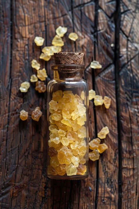 Benzoin immortelle resin essential oil in a bottle. Selective focus. stock photo Benzoin Essential Oil, Photo Focus, Girls Tshirts, Essential Oil, Close Up, Photo Image, Essential Oils, Stock Photos, Collage