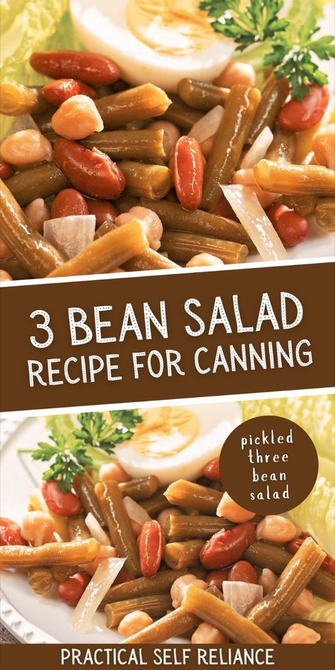 pickled three bean salad recipe for canning Canning Bean Salad, Canned Three Bean Salad Recipes, Canning Three Bean Salad, Canned Bean Salad Recipes, Three Bean Salad Canning Recipe, Canning Green Beans Water Bath, Canning Butter Beans, Pickled Beans Recipe Easy, Canned Green Bean Salad