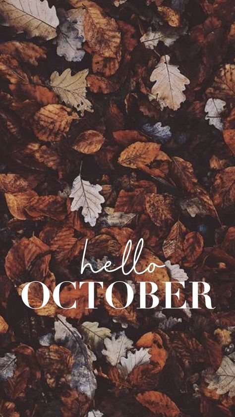 Fall Quote Wallpaper Iphone, Happy October Images, October Aesthetic Wallpaper Iphone, October Pictures Fall, October Fall Wallpaper, October Vibes Wallpaper, October Wallpaper Backgrounds, Hello October Month, Hello October Wallpapers