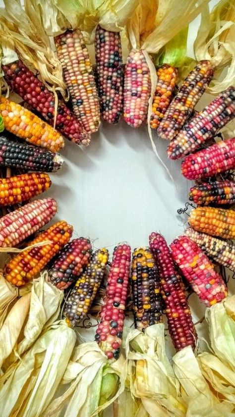 #2Pretty2Eat Colored Corn, Gem Corn, Rainbow Corn, Glass Gem Corn, Colored Popcorn, Indian Corn, मोबाइल वॉलपेपर, Corn On Cob, Corn On The Cob