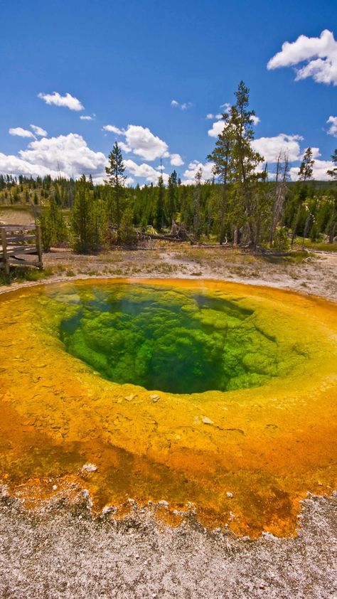 Yellow Stone National Park Photography, Yellow Stone National Park Aesthetic, Yellow Stone Aesthetic, Yellowstone National Park Photography, Beauty Land, Stone Park, Traveling Ideas, Yellowstone Trip, Hiking Places