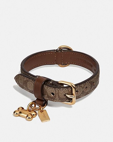 Coach Dog Collar, Yorkie Terrier, Toy Storage Organization, Puppy Beds, Printed Jewelry, Boy Dog, Coach Outlet, Small Pet, Leather Buckle