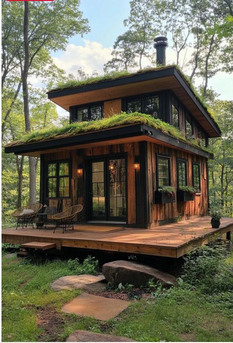 Tiny Forest House, Tiny House Tropical, Forest Tiny House, Modern Forest House Exterior, Tiny House Design Exterior, Loft House Design Exterior, Small Forest House, Eco Friendly House Architecture, Eco Resort Architecture