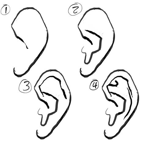 How to draw the Ear by Paperbag-Ninja Ear Art, Human Anatomy Art, 캐릭터 드로잉, Arte Sketchbook, Digital Painting Tutorials, Figure Drawing Reference, The Ear, Drawing Lessons, Anatomy Art