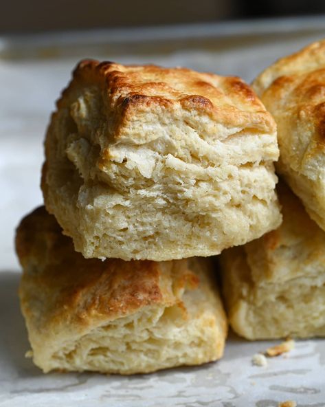 Salty Seattle, Recipes For Biscuits, Sourdough Buttermilk, Perfect Biscuits, Biscuits Buttermilk, Sourdough Biscuits, Egg Biscuits, Frozen Biscuits, Homemade Buttermilk Biscuits