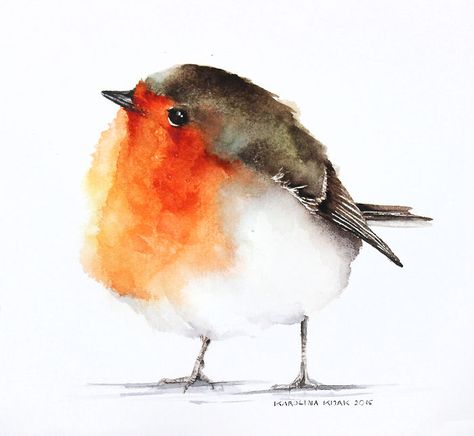 Robin Watercolor Painting, Feathers, Birds, Orange, White, Watercolour Painting