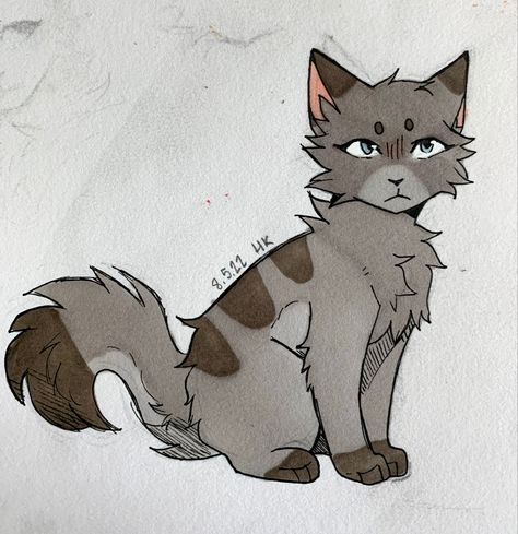 Cat Eyes Drawing, Pet Frogs, Warrior Cat Drawings, Warrior Cat Oc, Cat Drawings, Cute Cat Drawing, Cat Sketch, Oc Drawings, Warrior Cats Art