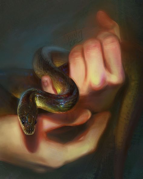 Fantasy Animal Paintings That Show The Real Magic In The World Tamberella Art, Animal Artists, Snake Painting, Lucid Dream, Snake Art, Animal Study, Amazing Artwork, Fantasy Paintings, Minimalist Photography