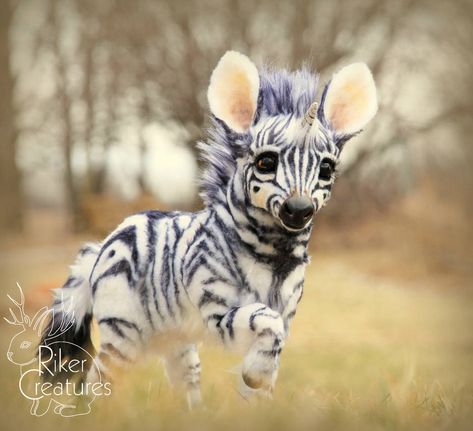 Baby Zebra, Baby Animals Pictures, Super Cute Animals, Baby Animals Funny, Fluffy Animals, Cute Wild Animals, Cute Animal Photos, Cute Animal Pictures