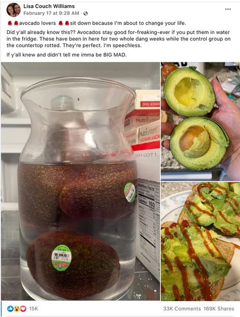 Avocado Storage, How To Store Avocado, How To Cut Avocado, Prevent Food Waste, Fruit And Vegetable Storage, Fresh Avocado, Ripe Avocado, Recipes For Beginners, Back To Nature