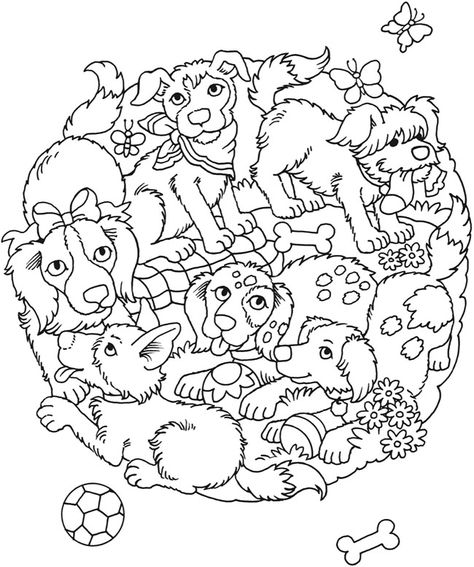 Welcome to Dover Publications Dover Publications Coloring, Fun Animals, Horse Coloring Pages, Dover Publications, Adult Colouring Pages, Animals Coloring, Dog Coloring Page, Adult Coloring Book Pages, Animal Coloring Books