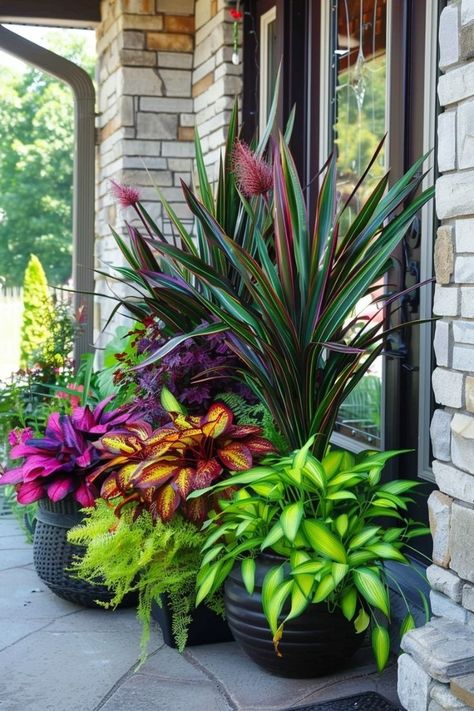 Front Door Planter Ideas, Door Shade, Outdoor Planter Ideas, Florida Landscaping, Tropical Garden Design, Potted Plants Outdoor, Large Flower Pots, Container Gardening Flowers, Flower Pots Outdoor