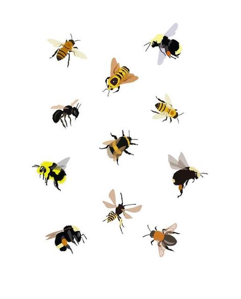 Pollinators Illustration, Eco Project, Communication Illustration, Bee Illustration, Graphic Style, Artistic Style, Bee Art, Honey Bee, Fabric Painting