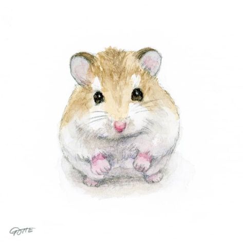 Ginger Painting, Hamster Painting, Japanese Hamster, Tiny Hamster, Hamster Cartoon, A Hamster, Nature Sketch, Paint Night, Art Corner