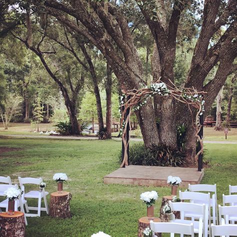 Woodland Forest Wedding  - Cypress Creek Event Venue Wooded Wedding, Hillside Landscape, Forest Enchanted, Country Wedding Pictures, Woodland Wedding Venues, Florida Wedding Venue, Country Wedding Reception, Forest Wedding Venue, Outdoor Country Wedding