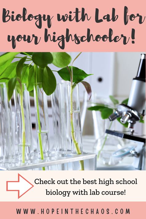 High school science can seem daunting, but when you have the right tools and resources, your homeschool students can learn with ease! We love this self-paced course that teaches high school Biology in a systematic and simple way from a Christian worldview. Quality science for your homeschool is just a click away! #homeschool #homeschoolscience #highschool Biology Labs High School, School Science Lab, Apologia Biology, Christian Worldview, School Biology, High School Chemistry, Biology Labs, High School Biology, Online Academy