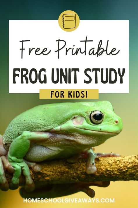 free homeschool printable science Frog Science Experiment, Frog Activities For Elementary, Montessori Frog Unit, Reptile Unit Study, Frog Unit Study, Homeschool Science Lessons, Nature Study, Homeschool Science, Study Unit