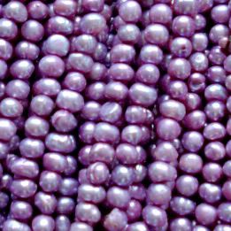 Pearl Images, Autumn Purple, Purple Lights, Purple Jewelry, Purple Pearl, Purple Love, All Things Purple, Favourite Colour, Lavender Blue