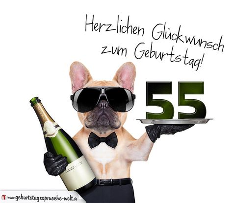 Happy 75th Birthday, Birthday Wishes Funny, Summer Swag, 75th Birthday, 22nd Birthday, Perfect Image, Picture Quotes, Birthday Wishes, Animals And Pets