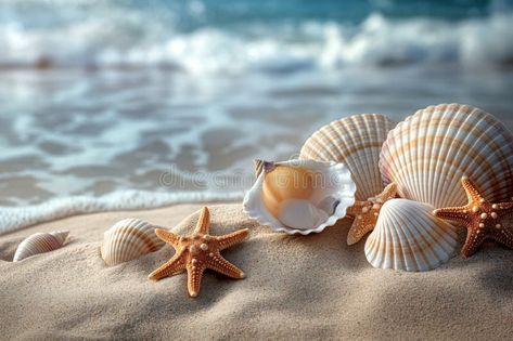 Seashells and starfish on tropical beach sand royalty free stock photo Ocean Backdrop, Summer Feeling, Tropical Beach, Beach Sand, The Sand, Vector Background, Starfish, Sea Shells, Royalty Free Stock Photos