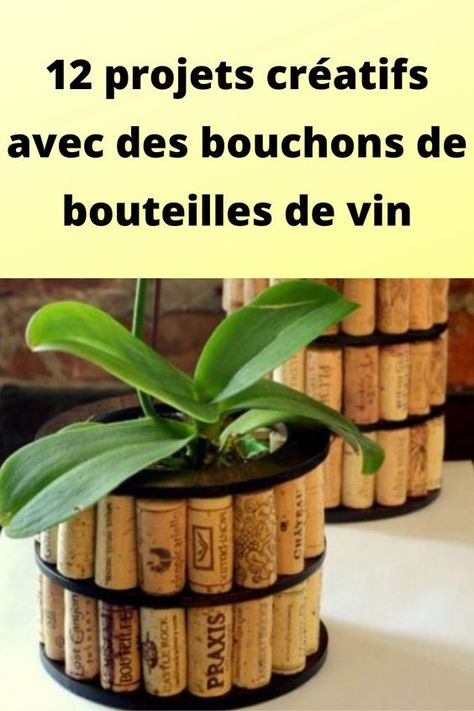 12 projets créatifs avec des bouchons de bouteilles de vin Castle Rock, Plants