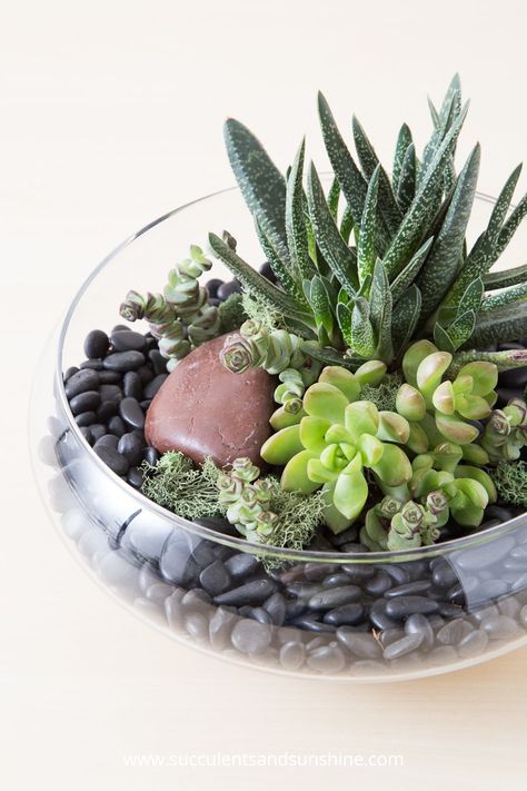 Succulents Ideas, Indoor Succulent Planter, Succulents In Glass, Cactus Terrarium, Succulent Bowls, Succulent Garden Indoor, Succulent Garden Diy, Hanging Succulents, Succulent Soil