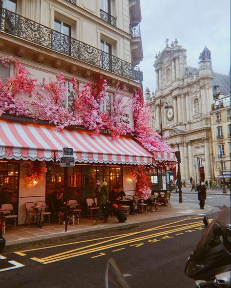 Paris Cafe Photography, Paris Cafe Aesthetic, Cafe In Paris, Paris Activities, Paris In Spring, Pink Cafe, Springtime In Paris, Aesthetic Paris, French Aesthetic