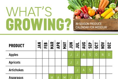 Use this helpful Missouri produce calendar to find out when fresh fruits and vegetables are in season throughout the year. Produce Calendar, Colorado Gardening, Vegetable Chart, Growing Calendar, When To Plant Vegetables, Planting Calendar, Whats In Season, Texas Gardening, Home Vegetable Garden