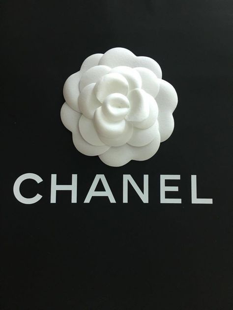 Chanel Inspired Room, Chanel Background, Camelia Chanel, Coco Chanel Wallpaper, Apple Watch Custom Faces, Chanel Wallpaper, Chanel Wallpapers, Feather Chandelier, Chanel Art