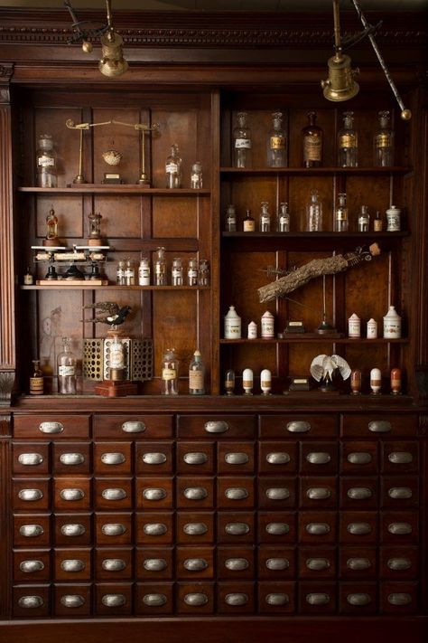 Apothecary Ideas, Vintage Pharmacy, Apothecary Decor, Vintage Apothecary, Apothecary Cabinet, Herbal Apothecary, Cabinet Of Curiosities, Cabinet Style, Tea Shop