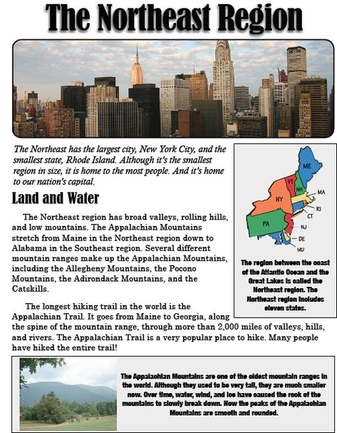 Students will have a map of the region that names states and capitals. They will also have a chart that names state, capital, and abbreviation. Students also will be making flashcards that have the... Northeast Region, States And Capitals, Homeschool Help, Rhode Island, Geography, Social Studies, United States, New York City, History