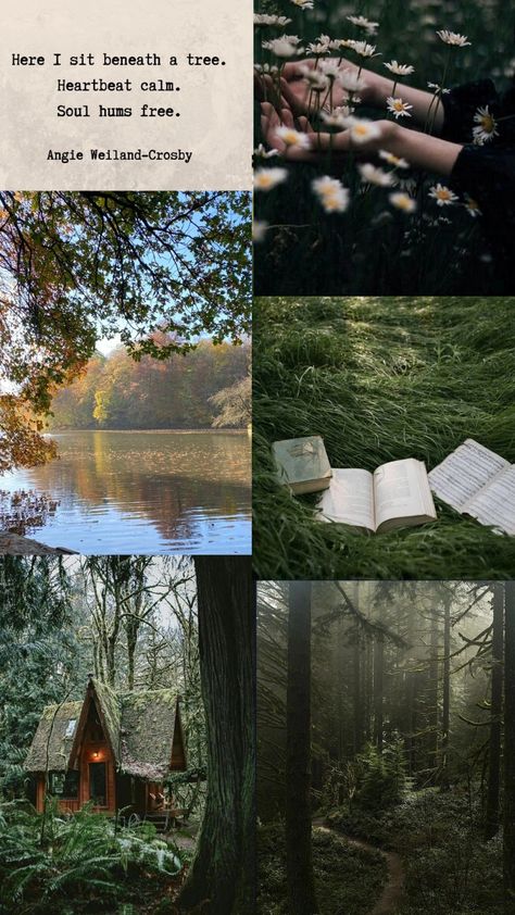 Woodsy Aesthetic Wallpaper, Silent Wallpaper Aesthetic, The God Of The Woods Book Aesthetic, Forest Vibes Aesthetic, Forest Mood Board, Forest Aesthetic Outfit, Woodsy Aesthetic, Evergreen Aesthetic, Cottagecore Forest