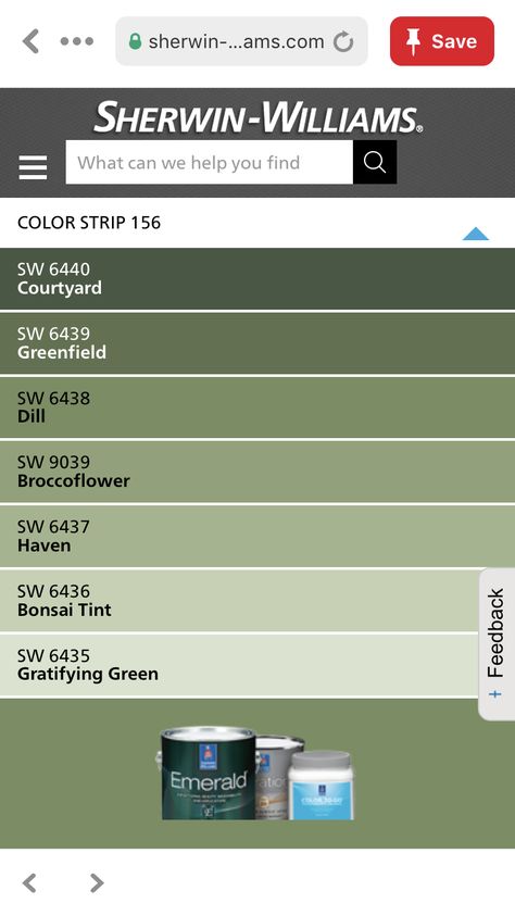 Sherwin Williams Broccoflower, Sherwin Williams Bonsai Tint, Sherwin Williams Greenfield, Mid Tone Green Paint Colors, Broccoflower Sherwin Williams, Neutral Green Paint Colors Sherwin Williams, Sherwin Williams Paint Colors Green, 2024 Color Palette, Color Families