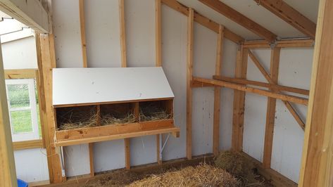 Woods Open Air Coop Design - Amish Built | Page 7 | BackYard Chickens - Learn How to Raise Chickens Open Air Chicken Coop, Woods House, Chicken Perches, Clear Things, How To Raise Chickens, Roof Edge, Chicken Nesting Boxes, Chicken Coop Run, Raise Chickens