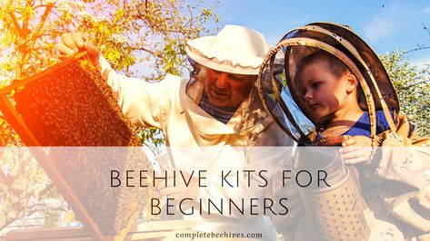 Bee Hive Kits, Birds And The Bees, Bee Keeping, Bee Hive, Get Started, Bee, Benefits