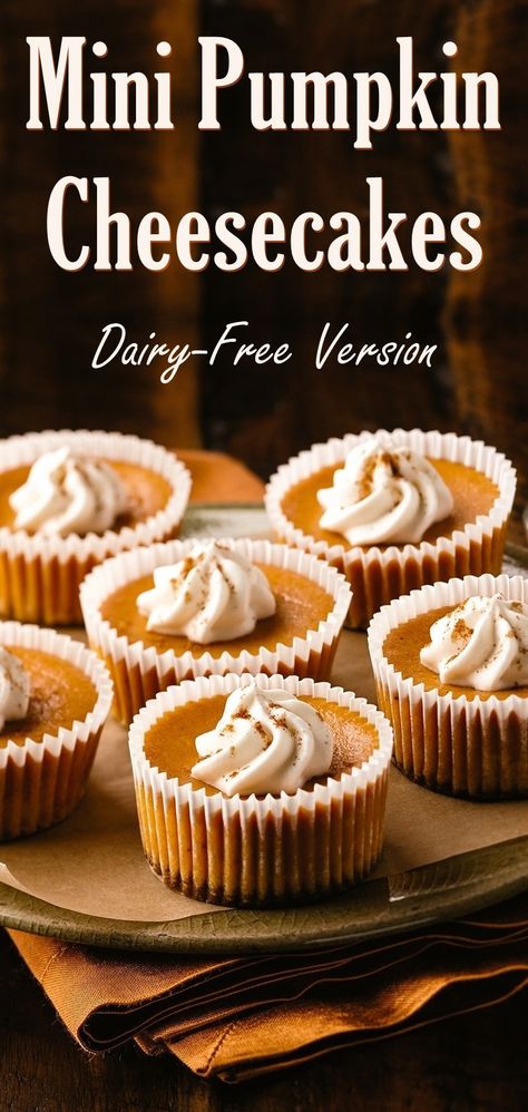 Dairy-Free Mini Pumpkin Cheesecakes Recipe with Gingersnap Crusts Gluten Dairy Free Pumpkin Cheesecake, Non Dairy Pumpkin Cheesecake, Pumpkin Cheesecake Dairy Free, Gluten Free Dairy Free Halloween Desserts, Dairy Free Mini Pumpkin Pies, Gluten Free Dairy Free Pumpkin Cheesecake, Thanksgiving Desserts Dairy Free, Dairy Free Cheesecake Bites, Dairy Free Pumpkin Cheesecake