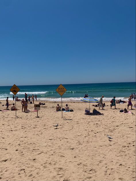 #australia #aesthetic #manly #beach #ocean #shark #sydney Sydney Beach Aesthetic, Australian Summer Aesthetic, Aussie Aesthetic, Sydney Core, Manly Beach Australia, Goals 2025, Australia Lifestyle, Manly Beach Sydney, Manly Australia