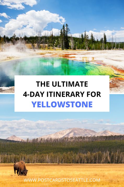 Yellowstone Itinerary, Yellowstone National Park Itinerary, Yellowstone In 3 Days, 2 Days In Yellowstone National Park, 4 Day Yellowstone Itinerary, Yellowstone National Park Itinerary 3 Days, Yellowstone Vacation Planning, Yellowstone National Park Vacation, Jackson Wyoming