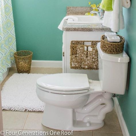 Four Generations One Roof's composed Bathroom project Vintage Vessel, Office Organization Tips, Clever Closet, Blue Front Door, Diy Spray Paint, Home Staging Tips, Blue Paint Colors, Green Paint Colors, Sherwin Williams Paint Colors