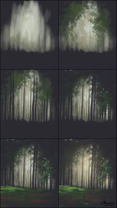 Forest Digital Painting, Nature Sketchbook, Illustration Fantasy, Lush Forest, Blond Amsterdam, Color Study, Evening Light, Forest Painting, Digital Painting Tutorials