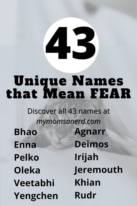 Send a shiver down your spine with our names that mean fear! These spooky, creepy, frightful names range from normal to quirky to unique ideas from other cultures. Names That Mean Fear, Names Meaning Nightmare, Edgy Names, Manifestation Mood Board, Scandinavian Names, Popular Baby Boy Names, Norse Words, Roman Myth, Sanskrit Names