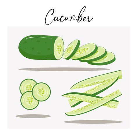 Cucumber Tattoo, Veggies Board, Cucumber Drawing, Cucumber Illustration, Procedure Text, Partner Tattoos, Sliced Cucumber, Cucumber Slices, Recipe Drawing