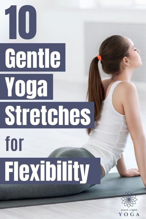 Do these 10 gentle yoga stretches to increase your flexibility and learn some of the more basic yoga poses. Beginner stretches for flexibility. Stretches For Beginners, Beginner Stretches, Inner Thigh Muscle, Muscles Of The Neck, Cow Face Pose, Yoga Stretches For Beginners, Body Stretching, Beginner Poses, Muscle Stretches