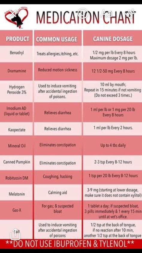 Dog Medication Chart, Pet Medication Chart, Dog Safe Medications, Benadryl For Dogs Dosage, Dog Meds, First Aid For Dogs, Gsd Training, Family Emergency Binder, Pet Store Ideas