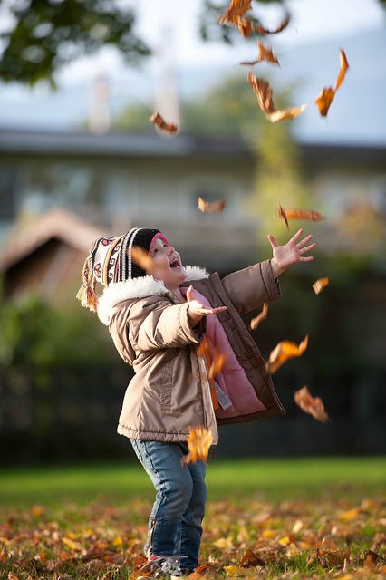 Amelia throwing leaves by Kim_Reimer, via Flickr Throwing Leaves Photography, Happiness Photo Photographs, Natural Playscapes, Fall Minis, Fall Pics, Leaf Photography, Fall Photography, Fall Photo, Photographs Ideas