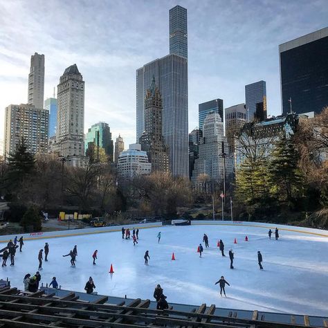 Wollman Rink, Central Park Butterfly Project, Ice Skating, Central Park, New York Skyline, Places To Visit, Lake, New York, Travel, Instagram