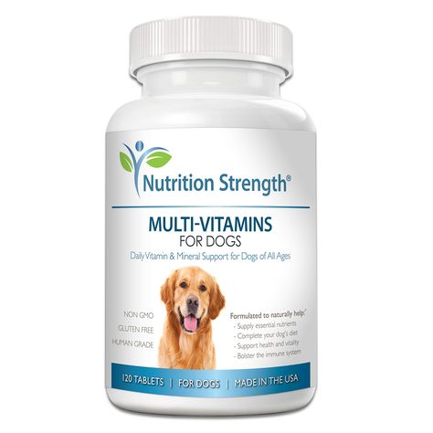 Nutrition Strength Organic Multivitamins for Dogs, Daily Vitamin and Mineral Support, Nutritional Dog Supplements for All Canine Breeds and Sizes, Promotes Immune Health in Pets, 120 Chewable Tablets, #Ad #Mineral, #Vitamin, #Support, #Dog Dog Seizures, Dog Incontinence, Thyroid Supplements, Salmon Oil, Pet Supplements, Dog Supplements, Daily Vitamins, Dog Eyes, Immune Health