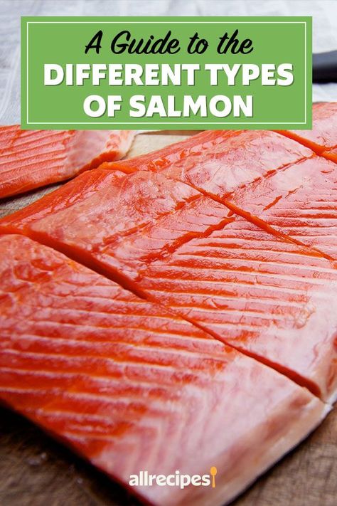 Wondering what's the difference in types of salmon? This guide will tell you the difference in wild and farmed salmon as well as king, sockeye, red, coho, silver, pink, humpback, chum, and Atlantic salmon. You will love using these tips and shopping guide when buying and cooking salmon! Different Types Of Salmon, Fresh Pink Salmon Recipes, Silver Salmon Recipes, Chum Salmon Recipes, Coho Salmon Recipes Baked, Red Salmon Recipes, Alaskan Salmon Recipes, Atlantic Salmon Recipe, Coho Salmon Recipes